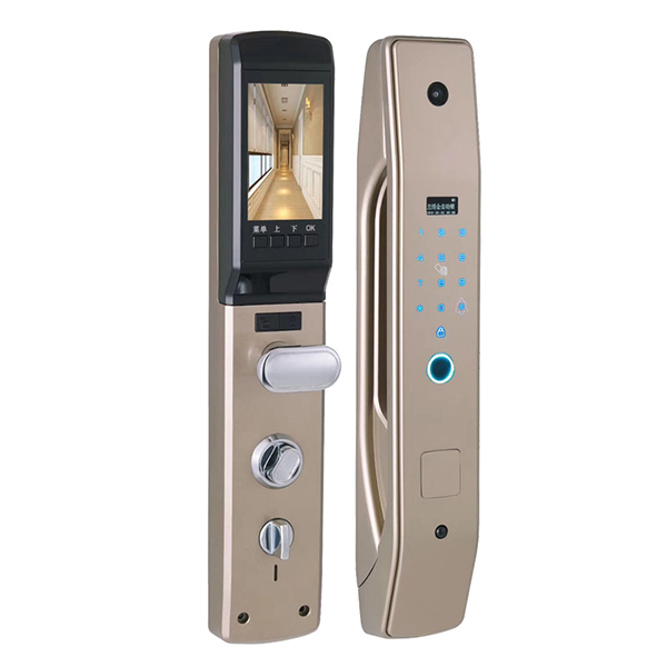 Sammenligning av Fingerprint Lock og Ordinary Lock